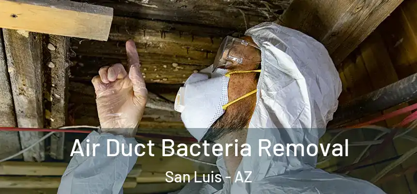  Air Duct Bacteria Removal San Luis - AZ