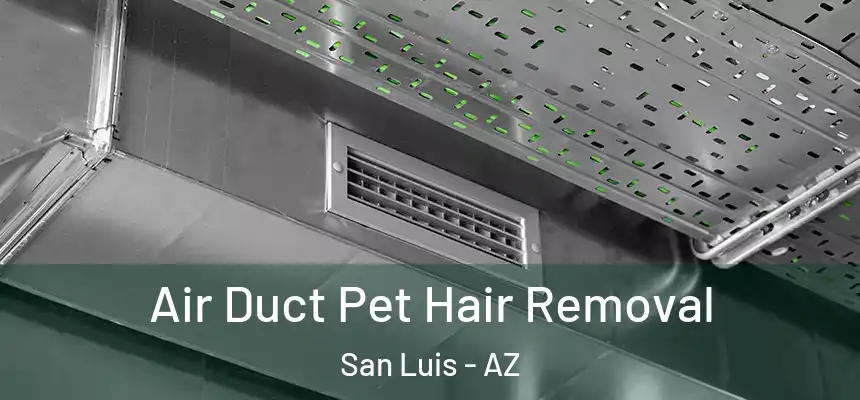  Air Duct Pet Hair Removal San Luis - AZ