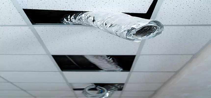 Affordable HVAC Sanitizing After Pest Removal in San Luis