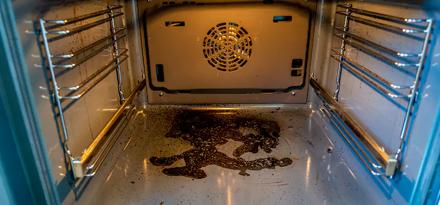 Our Dryer Vent Mold Cleaning Services in San Luis, AZ