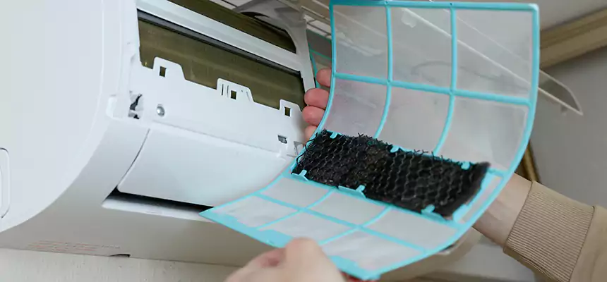 Gentle Ductwork Odor-Control Pet Dander Duct Cleaning in San Luis, AZ