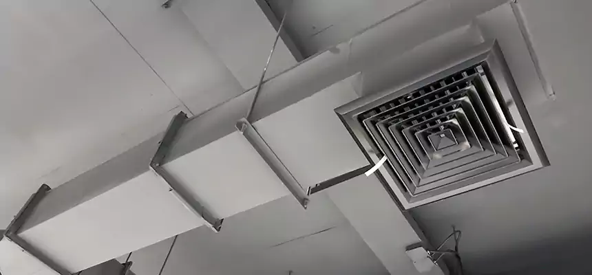 Our Rodent Droppings In Vents Services in San Luis, AZ