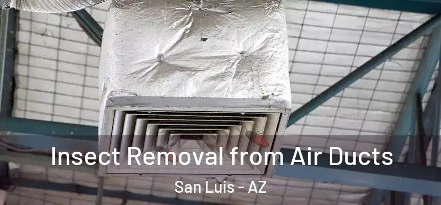  Insect Removal from Air Ducts San Luis - AZ