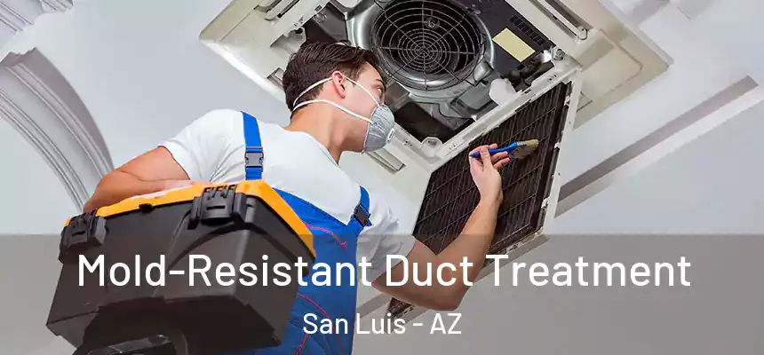 Mold-Resistant Duct Treatment San Luis - AZ