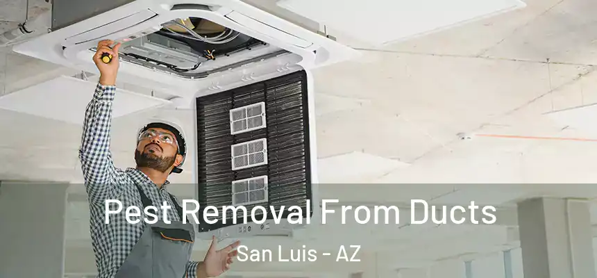 Pest Removal From Ducts San Luis - AZ