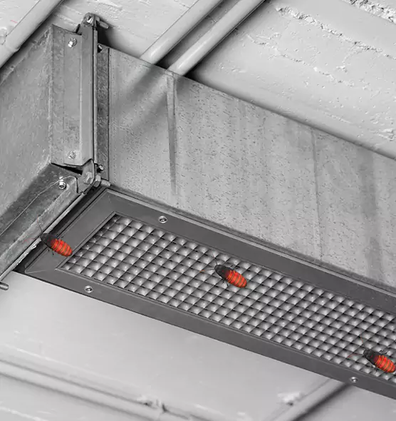 About Air Duct Cockroach Removal in San Luis, AZ