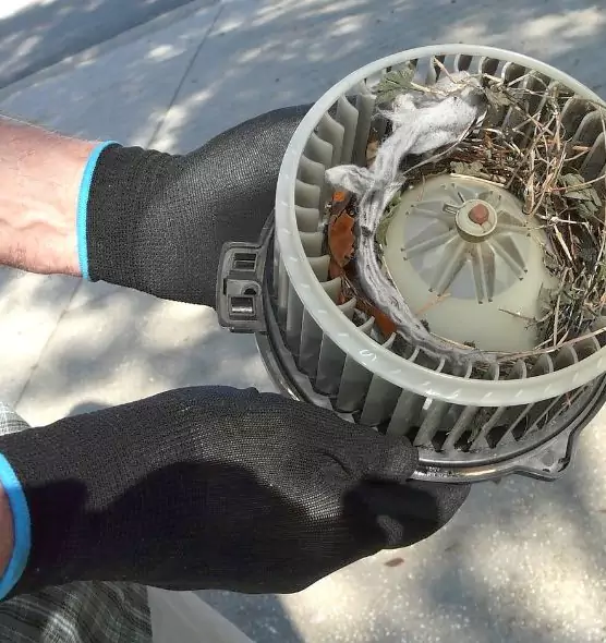 About Air Duct Mice Removal in San Luis, AZ