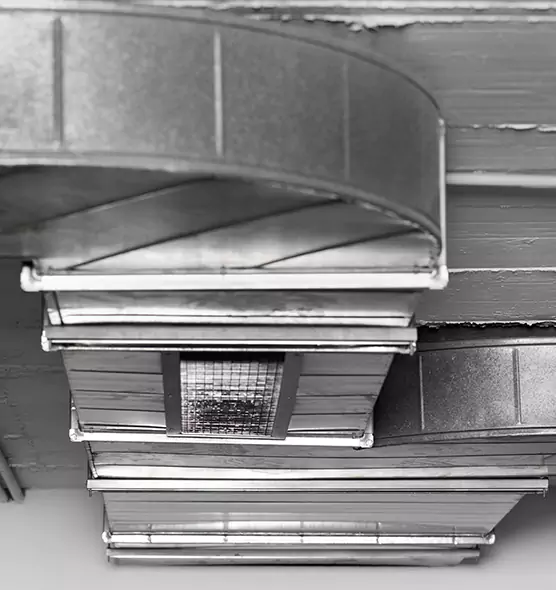 Professional Air Duct Pet Hair Removal in San Luis, AZ