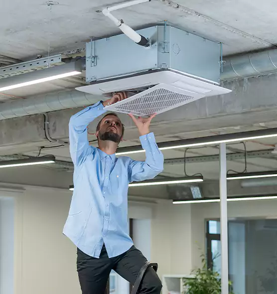 Advanced Rodent Droppings In Vents in San Luis, AZ