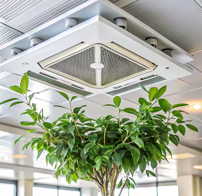 Why Homeowners & Businesses Trust Us in San Luis, AZ?