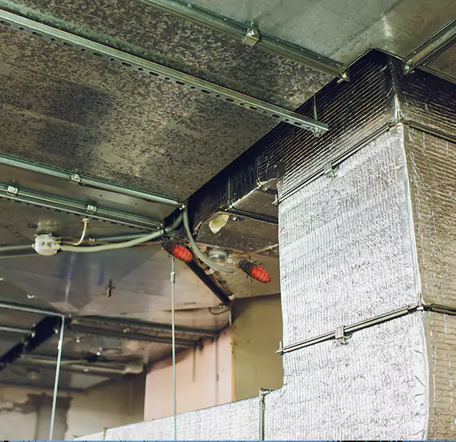 Why Homeowners & Businesses Trust Us San Luis, AZ?